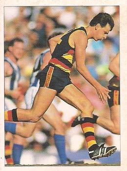 1992 Select AFL Stickers #14 Simon Tregenza Front